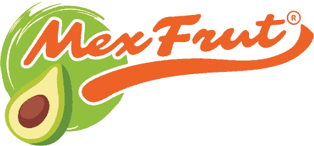Mexfrut, productor y exportador de aguacate Hass