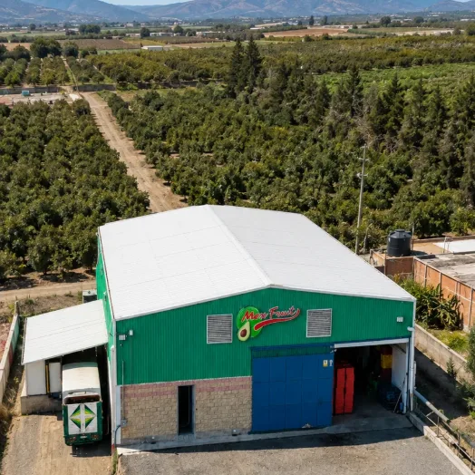 Vista aérea de la empacadora de aguacate Hass Mexfrut en Zapotiltic, Jalisco, rodeada de huertos.